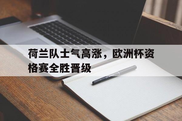 乐动体育平台-荷兰队士气高涨，欧洲杯资格赛全胜晋级