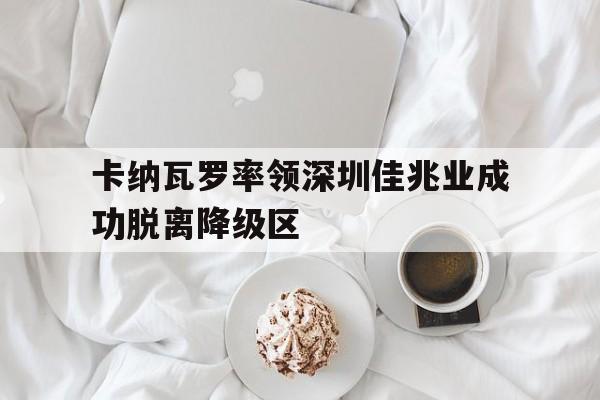 乐动体育在线开户网址-卡纳瓦罗率领深圳佳兆业成功脱离降级区